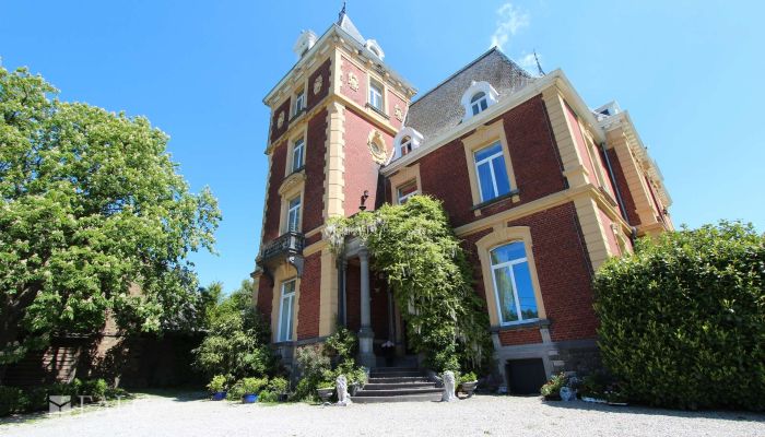 Castello in vendita Fays, Wallonie,  Belgio