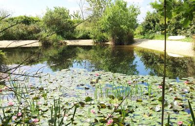 Casa padronale in vendita Gémozac, Nuova Aquitania:  Der Teich mit Sandstrand