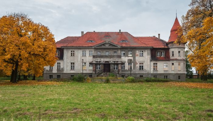 Castello in vendita Karczewo, Grande Polonia,  Polonia