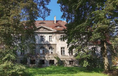 Castello in vendita Karczewo, Grande Polonia, Parco
