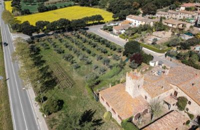 Casa di campagna in vendita Platja d'Aro, Catalogna, Proprietà