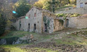 Palazzo San Leo Bastia 5