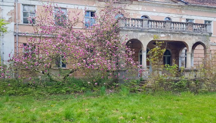 Villa padronale neoclassica a Granówko, Grande Polonia