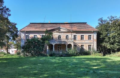 Villa padronale in vendita Granówko, Grande Polonia, Vista posteriore