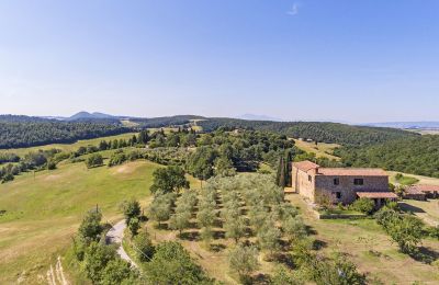 Casale in vendita Asciano, Toscana:  RIF 2982 Rustico und Umgebung