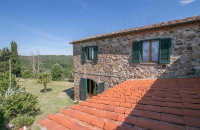 Casale in vendita Asciano, Toscana:  RIF 2982 Rustico