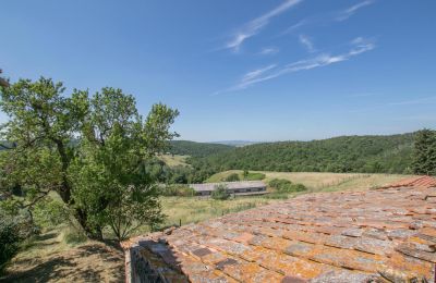 Casale in vendita Asciano, Toscana:  RIF 2982 Blick auf Landschaft