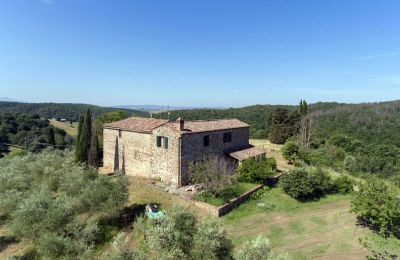 Casale in vendita Asciano, Toscana:  RIF 2982 Ansicht Anwesen
