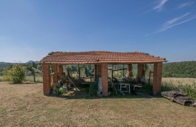Casale in vendita Asciano, Toscana:  RIF 2982 Unterstellmöglichkeit