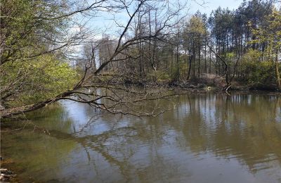 Parco storico in vendita Dębe Wielkie, Ruda, Masovia, Stagno/Lago