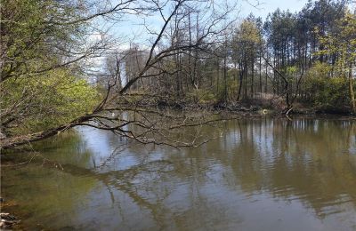 Parco storico in vendita Dębe Wielkie, Ruda, Mazovia:  Stagno/Lago