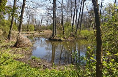 Parco storico in vendita Dębe Wielkie, Ruda, Masovia, Foto 8/24