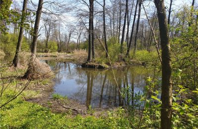 Parco storico in vendita Dębe Wielkie, Ruda, Mazovia:  