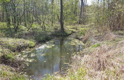 Parco storico in vendita Dębe Wielkie, Ruda, Masovia, Foto 11/24