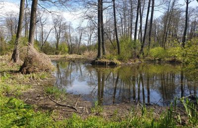 Parco storico in vendita Dębe Wielkie, Ruda, Masovia, Foto 9/24