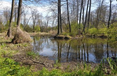 Parco storico in vendita Dębe Wielkie, Ruda, Mazovia:  