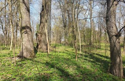 Parco storico in vendita Dębe Wielkie, Ruda, Mazovia:  