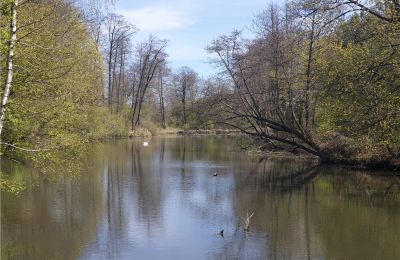 Parco storico in vendita Dębe Wielkie, Ruda, Mazovia:  