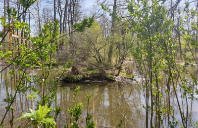 Parco storico in vendita Dębe Wielkie, Ruda, Masovia, Foto 17/24