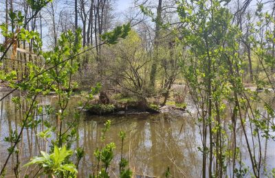 Parco storico in vendita Dębe Wielkie, Ruda, Mazovia:  