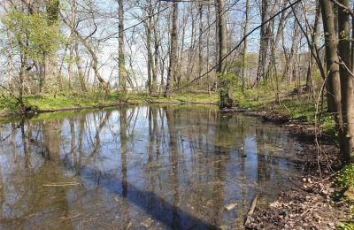 Parco storico in vendita Dębe Wielkie, Ruda, Masovia, Foto 16/24