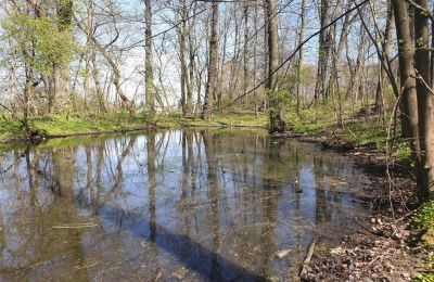 Parco storico in vendita Dębe Wielkie, Ruda, Mazovia:  