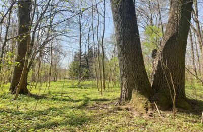 Parco storico in vendita Dębe Wielkie, Ruda, Masovia, Foto 19/24