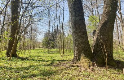 Parco storico in vendita Dębe Wielkie, Ruda, Mazovia:  