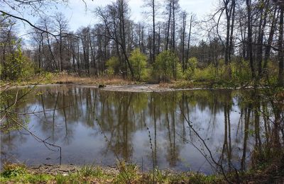 Parco storico in vendita Dębe Wielkie, Ruda, Masovia, Foto 20/24