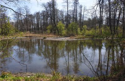 Parco storico in vendita Dębe Wielkie, Ruda, Mazovia:  