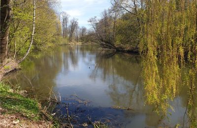 Parco storico in vendita Dębe Wielkie, Ruda, Mazovia:  