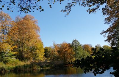 Castello in vendita Trzcinno, Trzcinno 21, Pomerania, Stagno/Lago