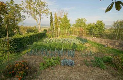 Casa rurale in vendita Lerchi, Umbria:  Giardino