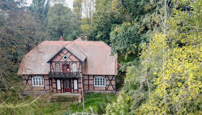 Villa padronale in vendita Grande Polonia,  Polonia