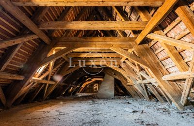 Palazzo in vendita Cítoliby, Zamek Cítoliby, Ústecký kraj:  Tetto