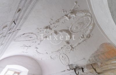 Castello in vendita Cítoliby, Zamek Cítoliby, Ústecký kraj, Decorazione a stucco