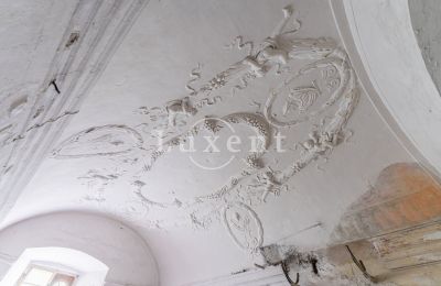 Palazzo in vendita Cítoliby, Zamek Cítoliby, Ústecký kraj:  Decorazione a stucco