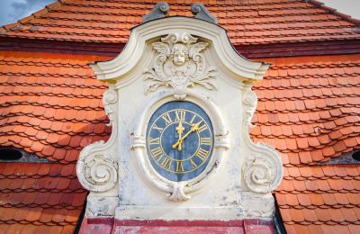 Castello in vendita Mirošov, Zámek Mirošov, okres Rokycany, Dettagli