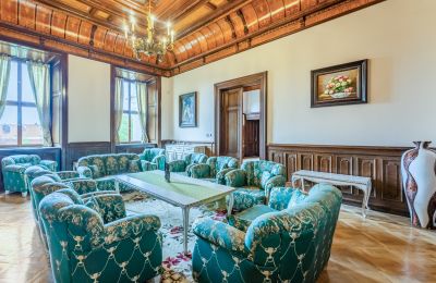 Castello in vendita Mirošov, Zámek Mirošov, okres Rokycany, Foto 11/32