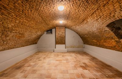 Castello in vendita Mirošov, Zámek Mirošov, okres Rokycany, Foto 24/32