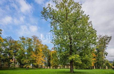 Palazzo in vendita Mirošov, Zámek Mirošov, Plzeňský kraj:  