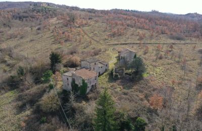 Casa di campagna in vendita 06019 Umbertide, Umbria, Foto 12/20