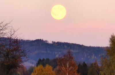 Castello in vendita Piszkowice, Bassa Slesia, Okokica