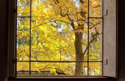 Castello in vendita Piszkowice, Bassa Slesia, Foto 25/28