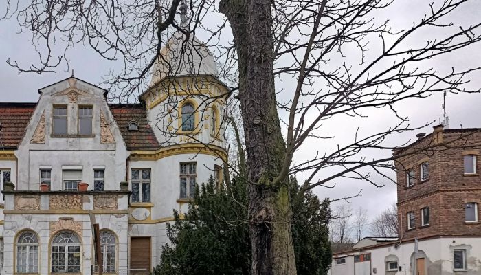Villa storica Tuplice 3
