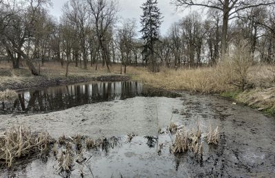 Villa padronale in vendita Bolkowice, Pomerania Occidentale, Stagno/Lago