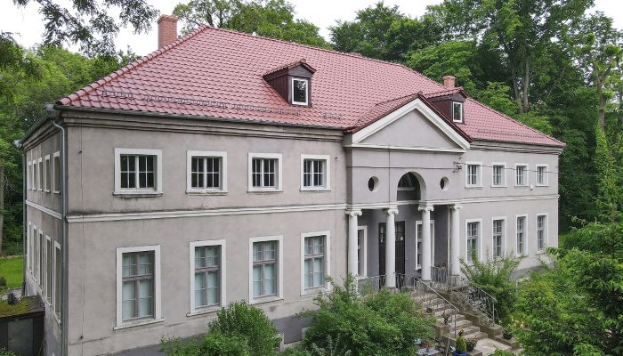 Castello in vendita Sławnikowice, Bassa Slesia,  Polonia