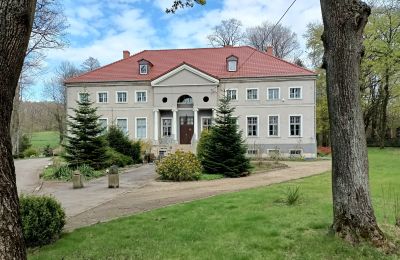 Castello in vendita Sławnikowice, Slawnikowice 99, Bassa Slesia, Vista frontale