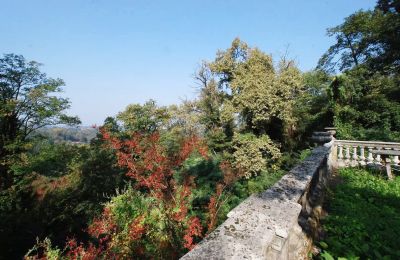 Villa storica in vendita Golasecca, Lombardia, Giardino