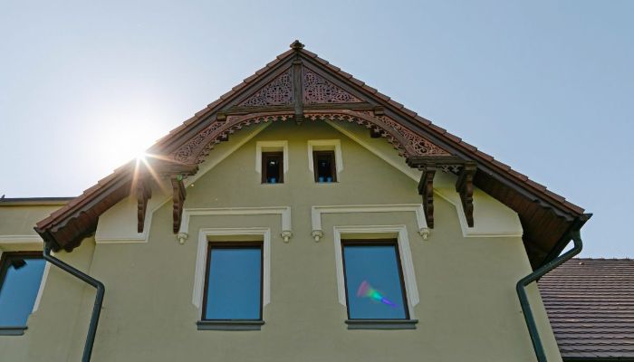 Villa storica Strzelin 3